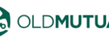 LearnershipAlerts.co.za_old mutual.PNG